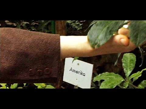 America